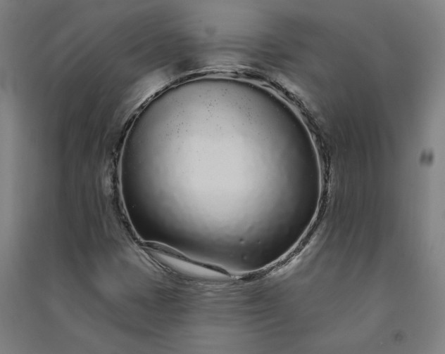 X0000091091401200708201447