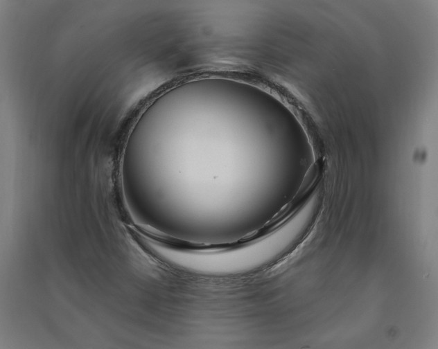 X0000091091402200708201447