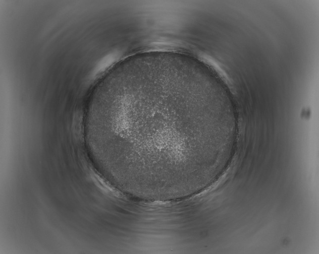 X0000091091403200708201447