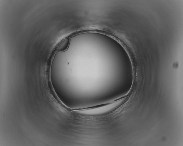 X0000091091404200708201447