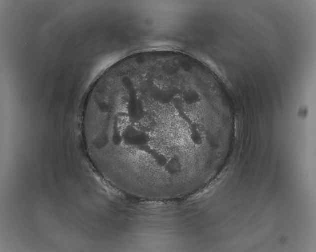 X0000091091405200708201447