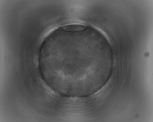 X0000091091407200708201447