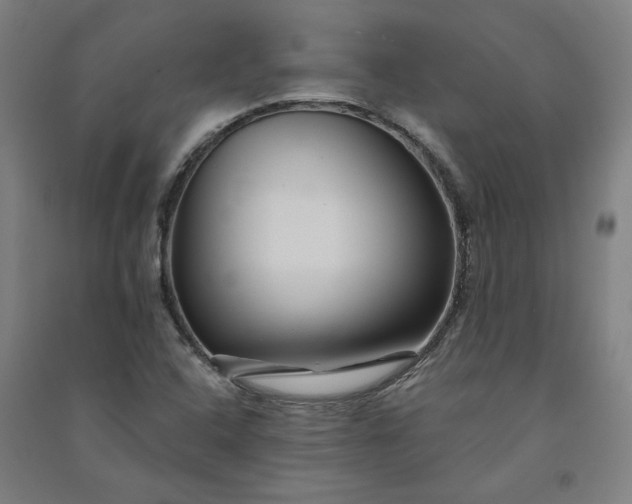 X0000091091408200708201447