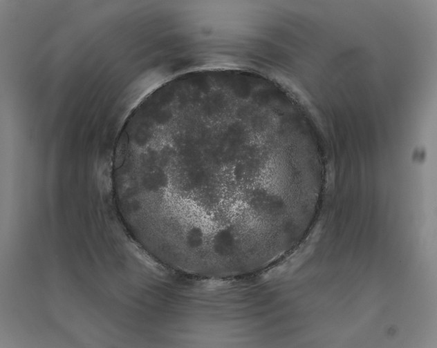 X0000091091409200708201447