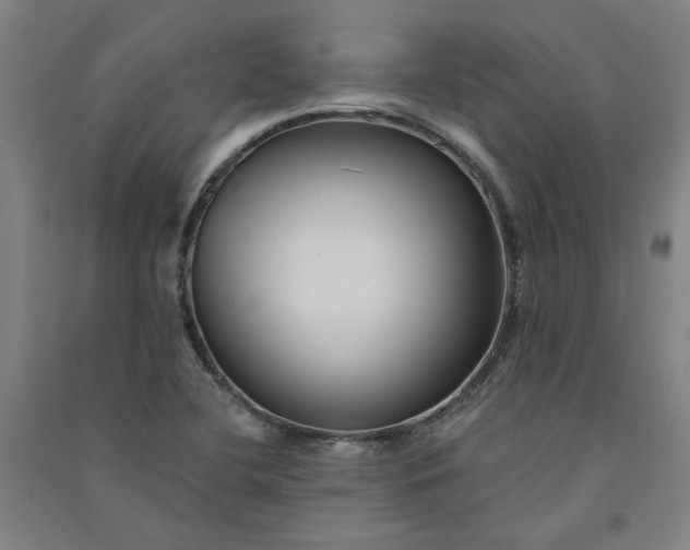 X0000091091412200708201447