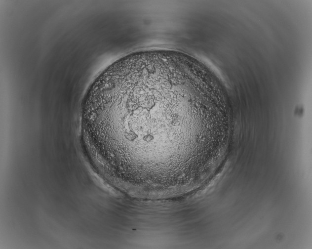 X0000091091413200708201447