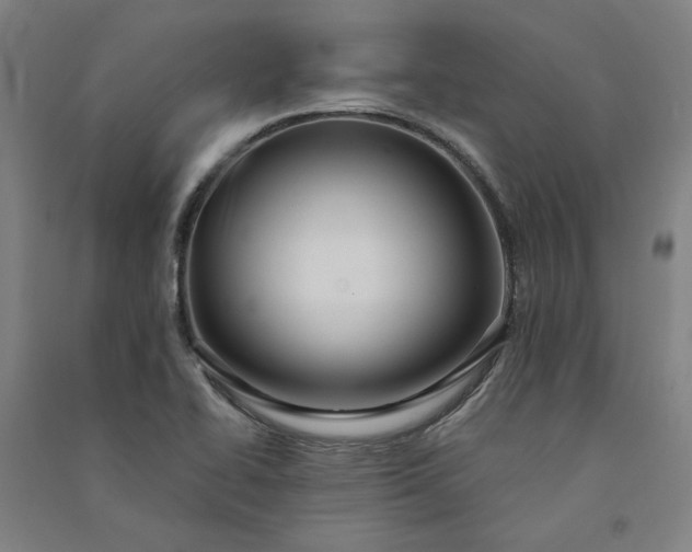 X0000091091414200708201447