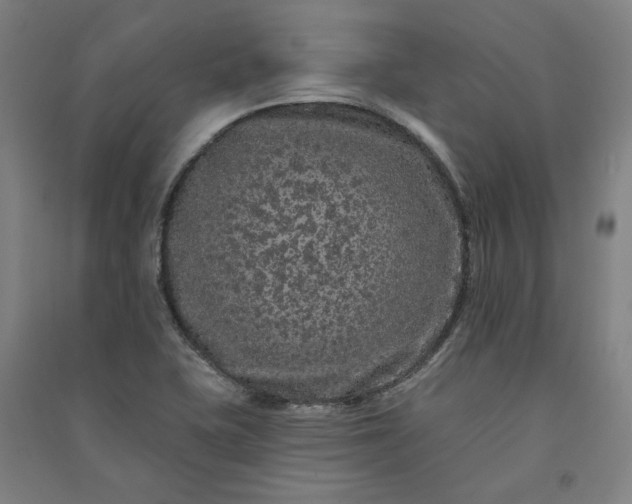X0000091091415200708201447