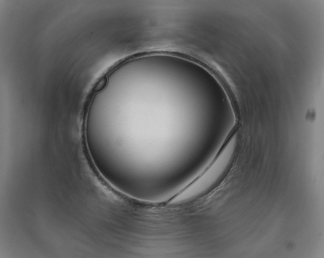 X0000091091416200708201447
