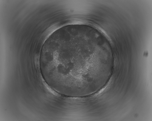 X0000091091417200708201447