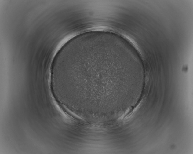 X0000091091418200708201447