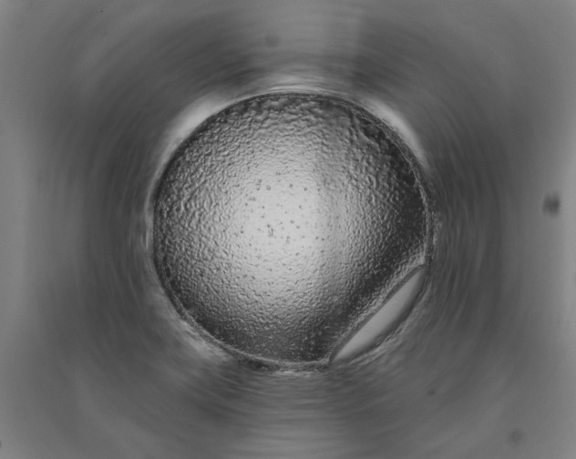 X0000091091419200708201447