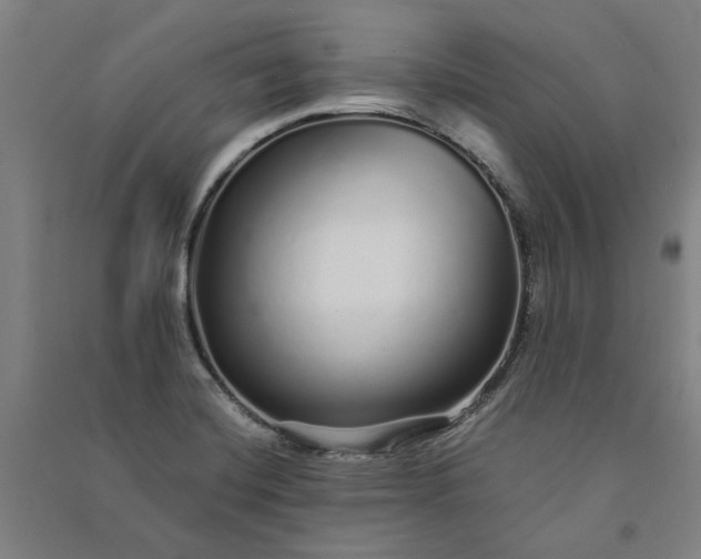X0000091091420200708201447