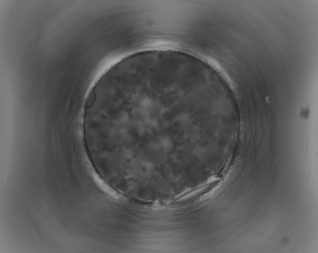 X0000091091421200708201447
