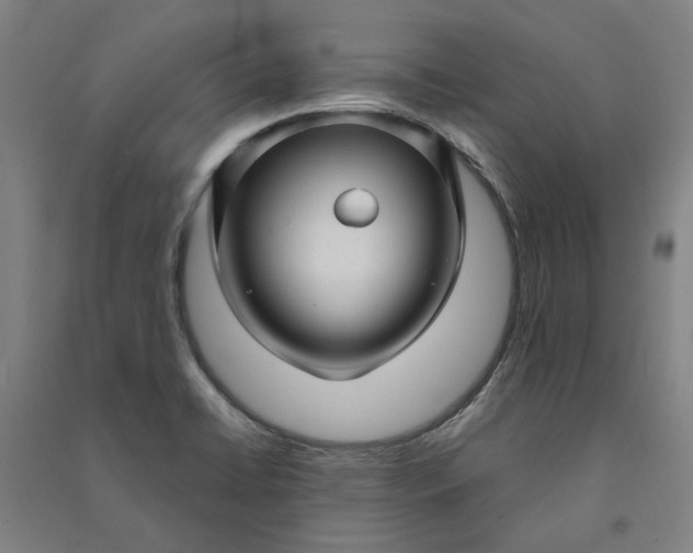 X0000091091422200708201447