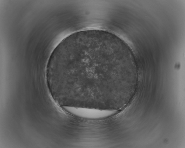 X0000091091423200708201447