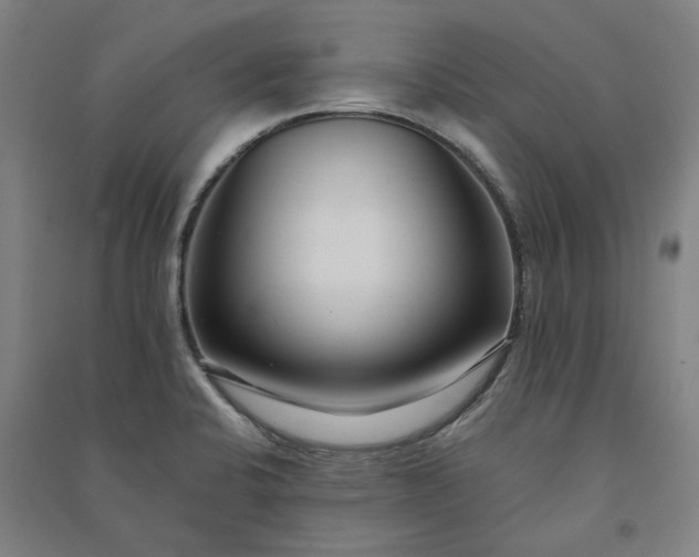 X0000091091424200708201447