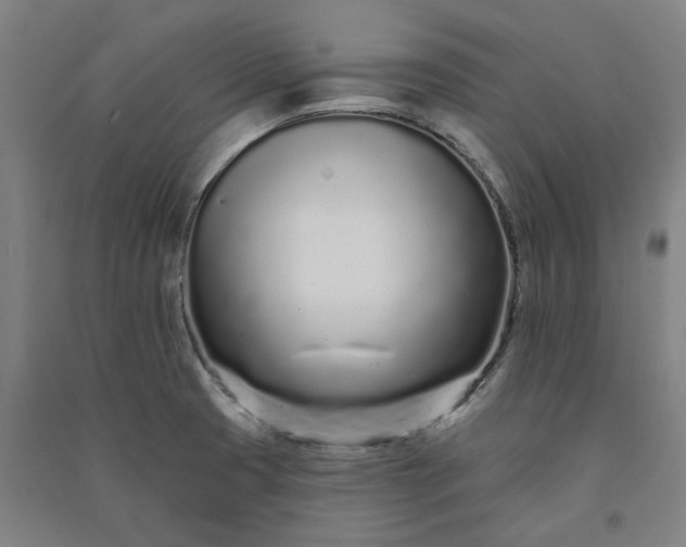 X0000091091425200708201447