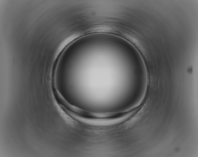 X0000091091426200708201447