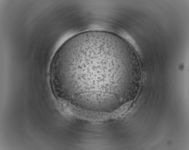 X0000091091427200708201447