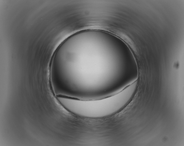 X0000091091428200708201447