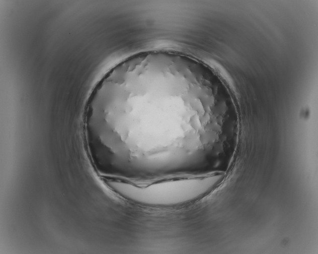 X0000091091429200708201447