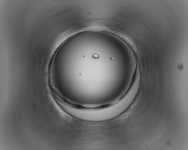 X0000091091430200708201447