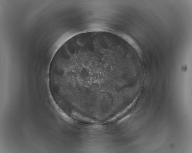 X0000091091431200708201447