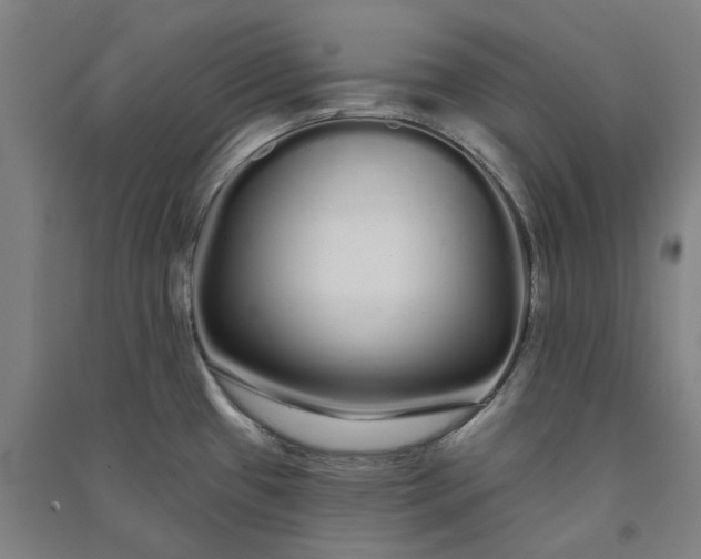X0000091091433200708201447