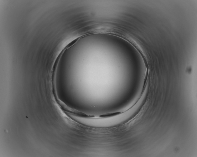 X0000091091434200708201447