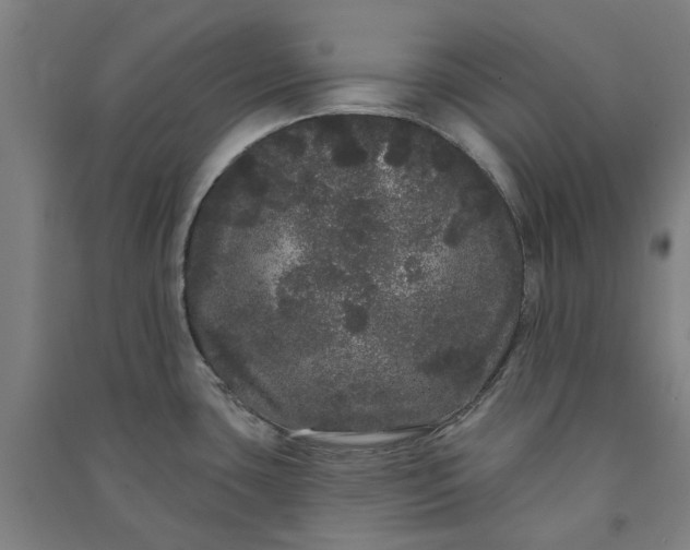 X0000091091435200708201447