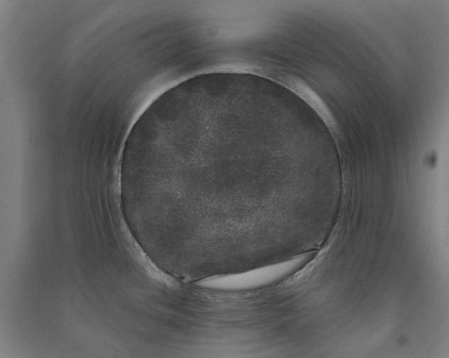 X0000091091436200708201447