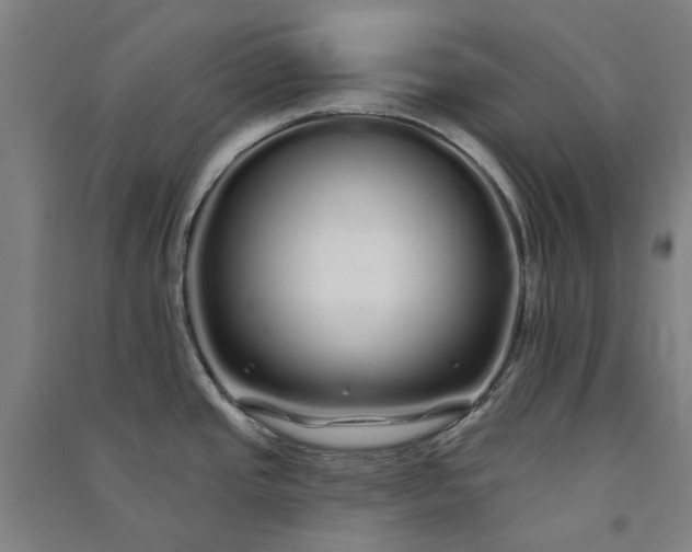 X0000091091437200708201447