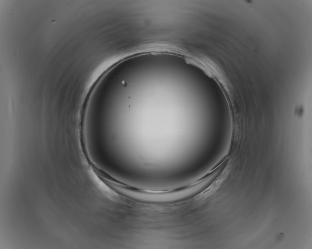 X0000091091438200708201447