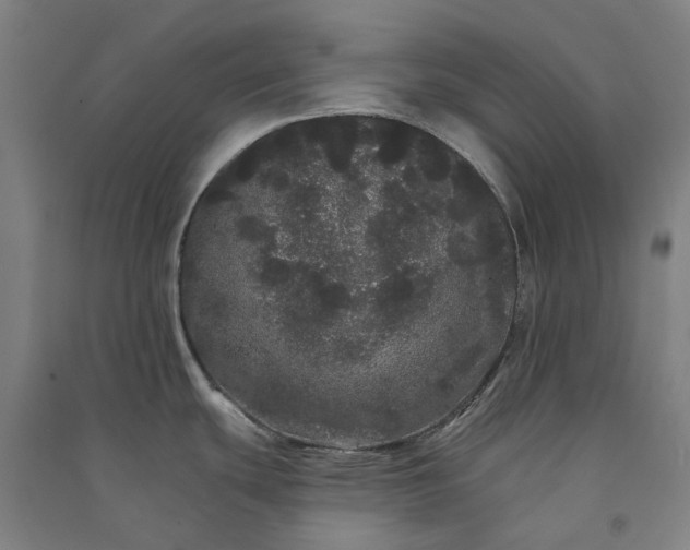 X0000091091439200708201447