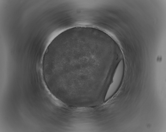 X0000091091440200708201447