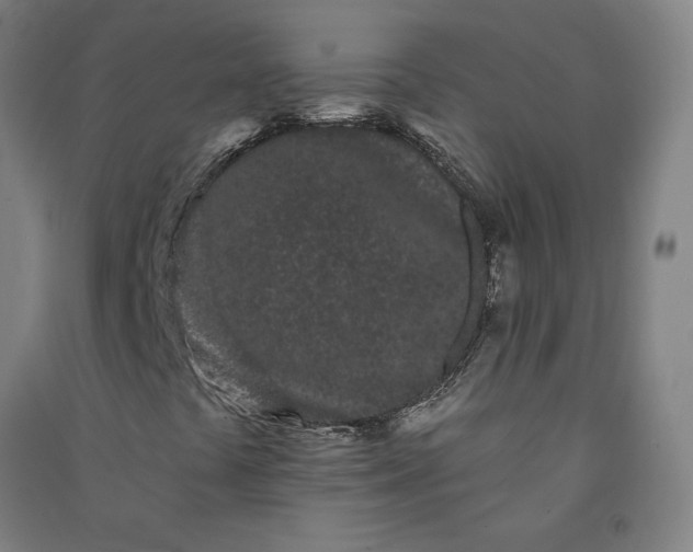 X0000091091441200708201447