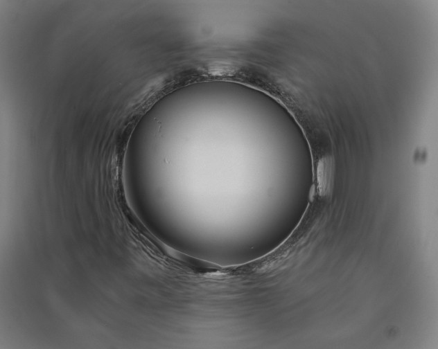X0000091091443200708201447