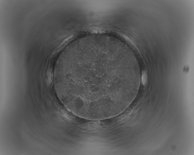 X0000091091444200708201447