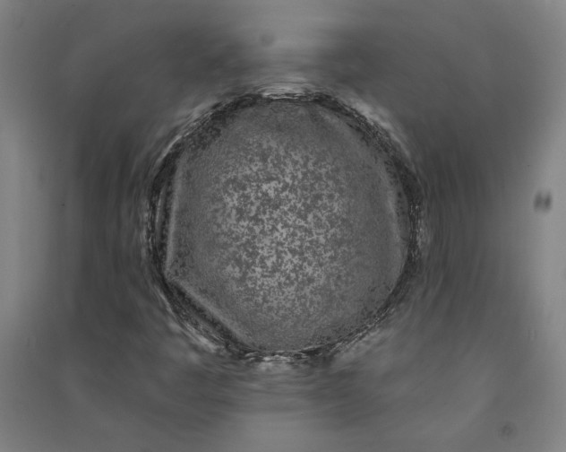 X0000091091445200708201447