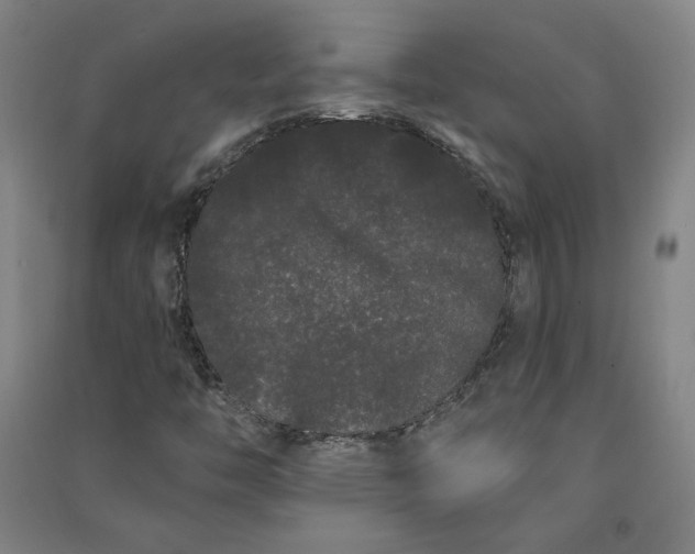 X0000091091446200708201447