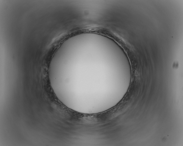 X0000091091447200708201446