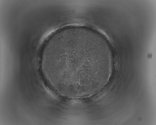 X0000091091448200708201446