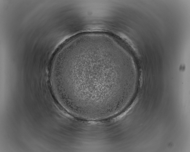 X0000091091449200708201446