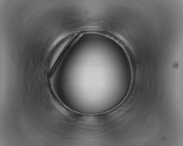 X0000091091450200708201446