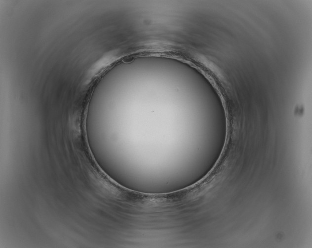 X0000091091451200708201446