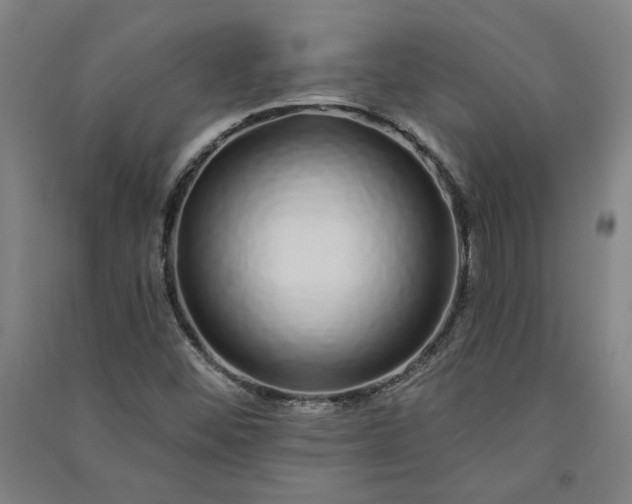 X0000091091452200708201446