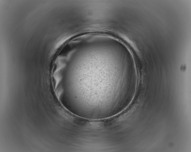 X0000091091453200708201446