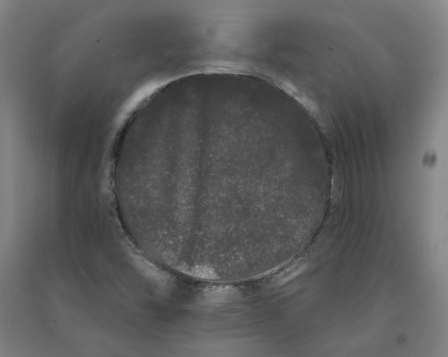X0000091091454200708201446