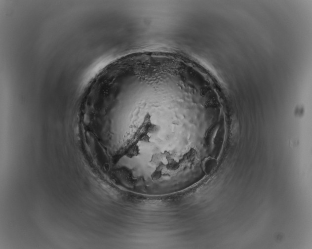 X0000091091455200708201446
